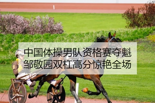 中国体操男队资格赛夺魁 邹敬园双杠高分惊艳全场